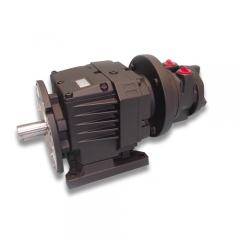 GLOBE Vane Air Motor with Gearbox