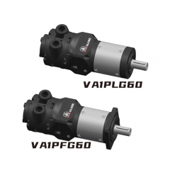 Vane air motor + Planetary Gearbox